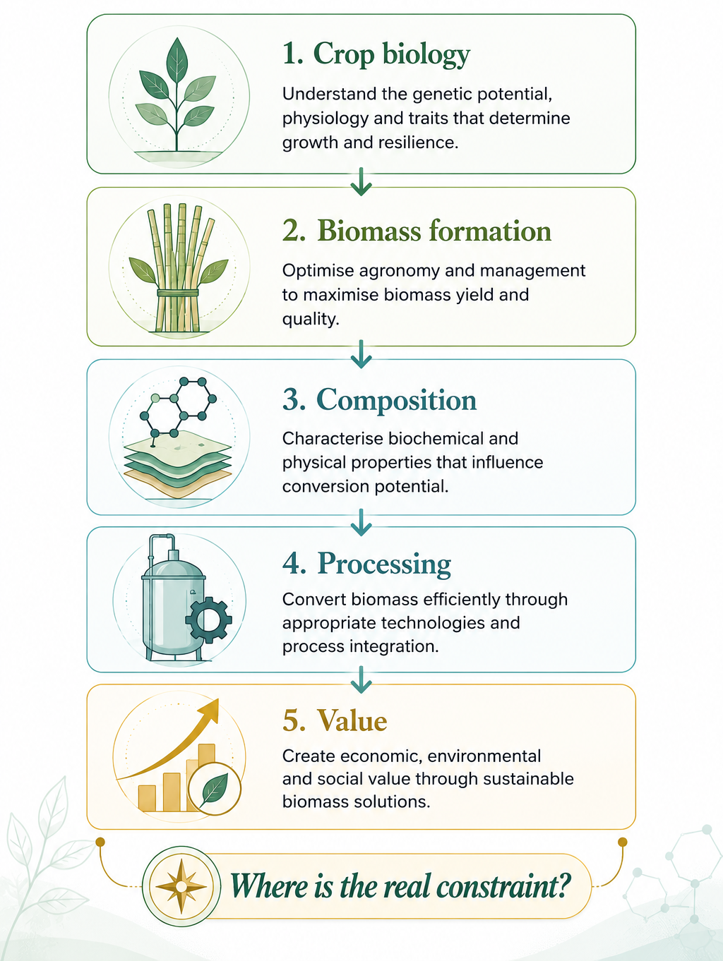 From crop biology through biomass formation, composition and processing to value