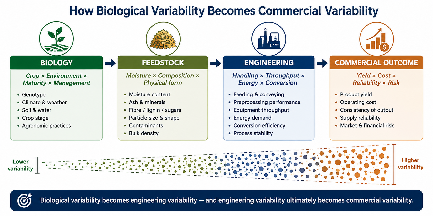 Pathway showing biological variability becoming feedstock, engineering and commercial variability
